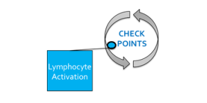 CheckpointB(1)