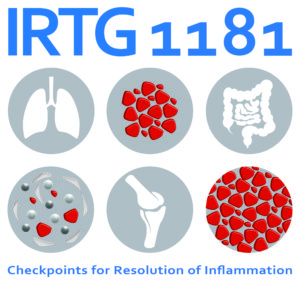 IRTG1181_Logo_final_f