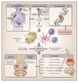 Zum Artikel "Entzündung – Ursachen der rheumatoiden Arthritis"