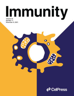 Zum Artikel "Cover Story Immunity: Wenn Fresszellen Dampf ablassen"